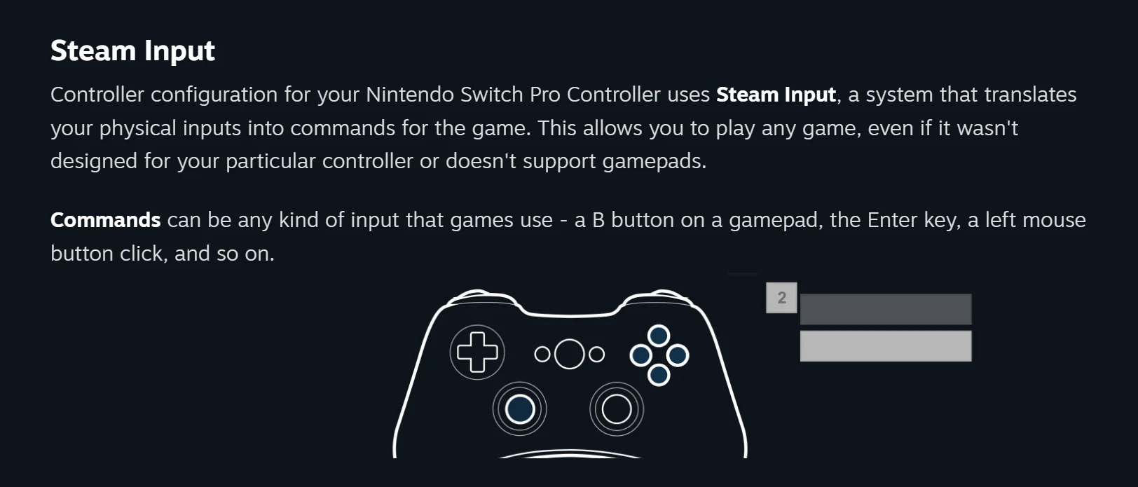 steam input