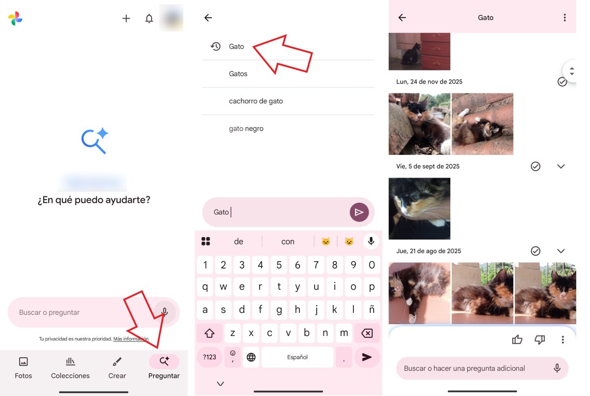 Encontrar una foto usando solo una palabra en Google Fotos ejm