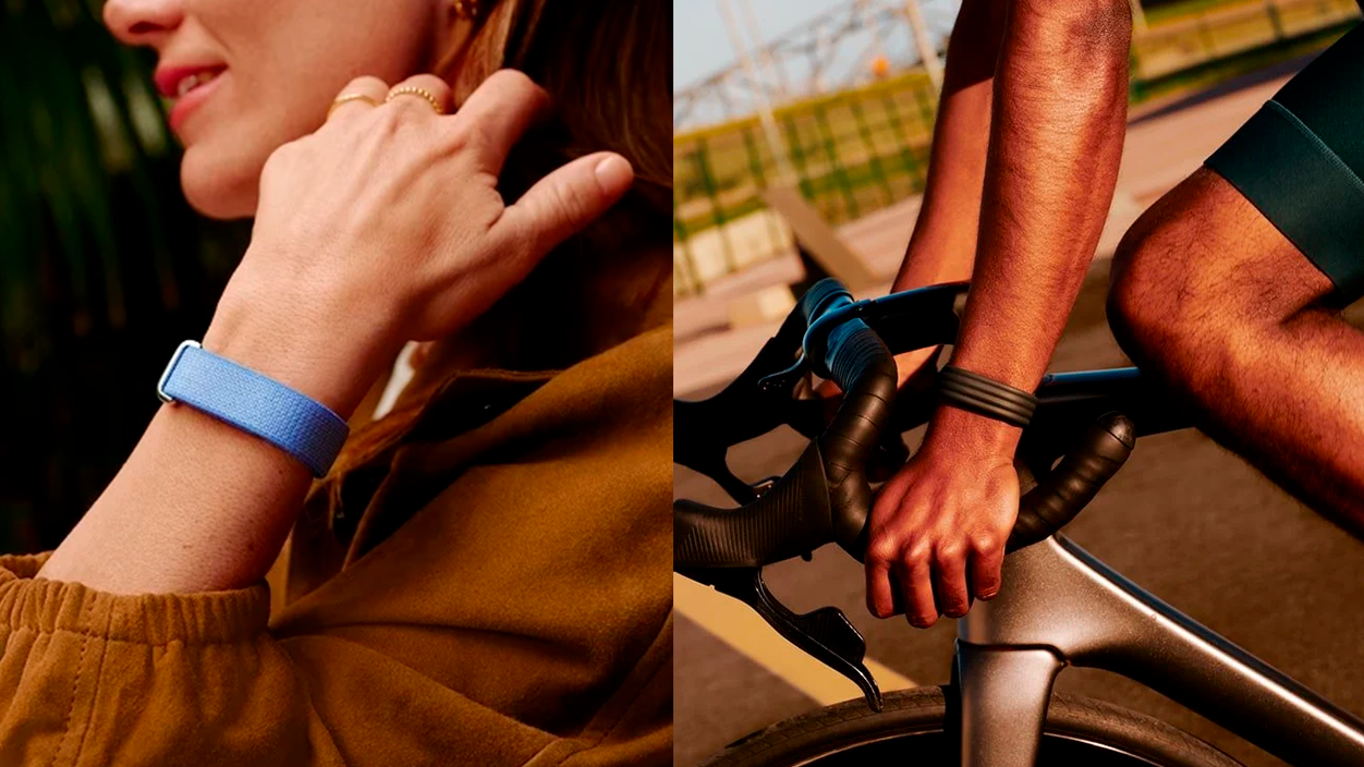 Google fitbit air