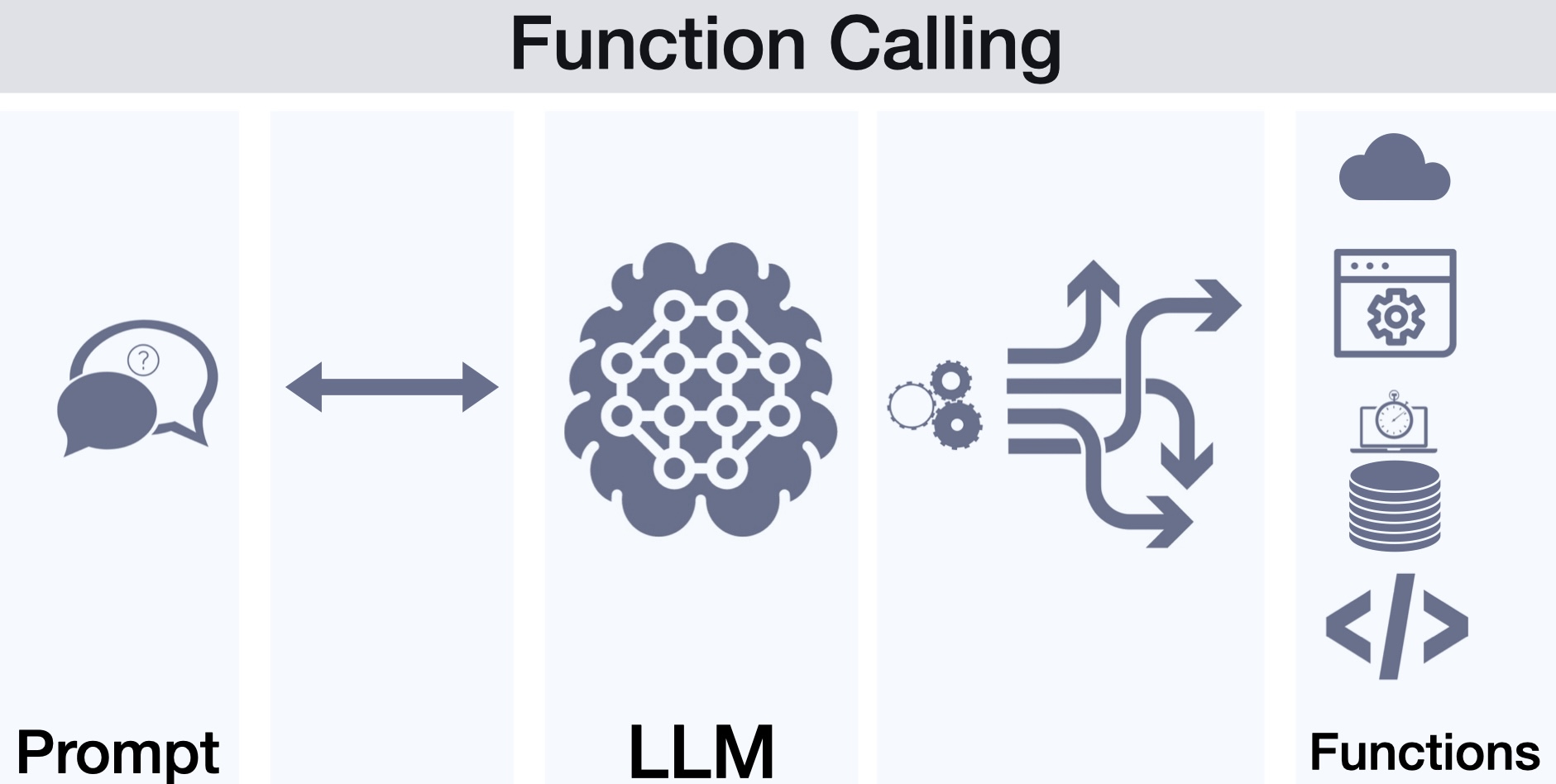 Function Calling