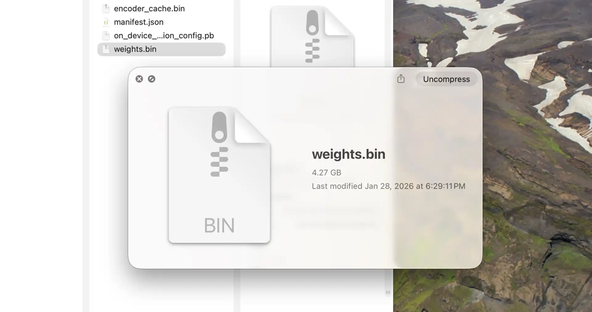 borrar weights.bin