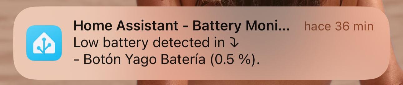 Notificaciones Home Assistant