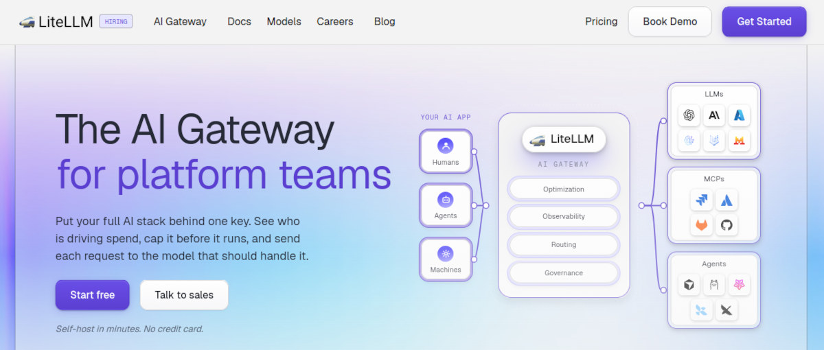 LiteLLM web