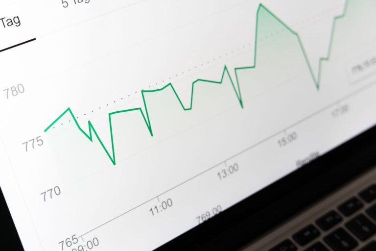 Detailed view of a data trend graph on a computer screen, representing price monitoring and history.