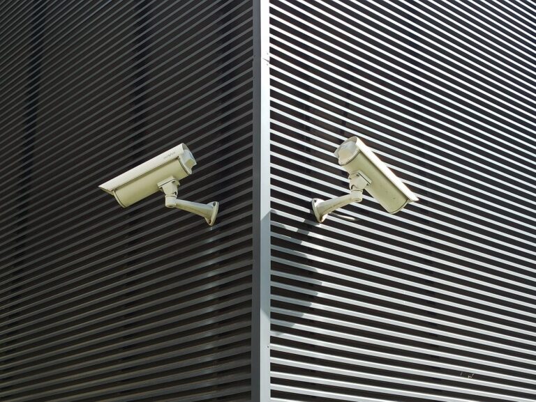 Dos cámaras de seguridad modernas instaladas en una pared exterior para vigilancia del hogar.