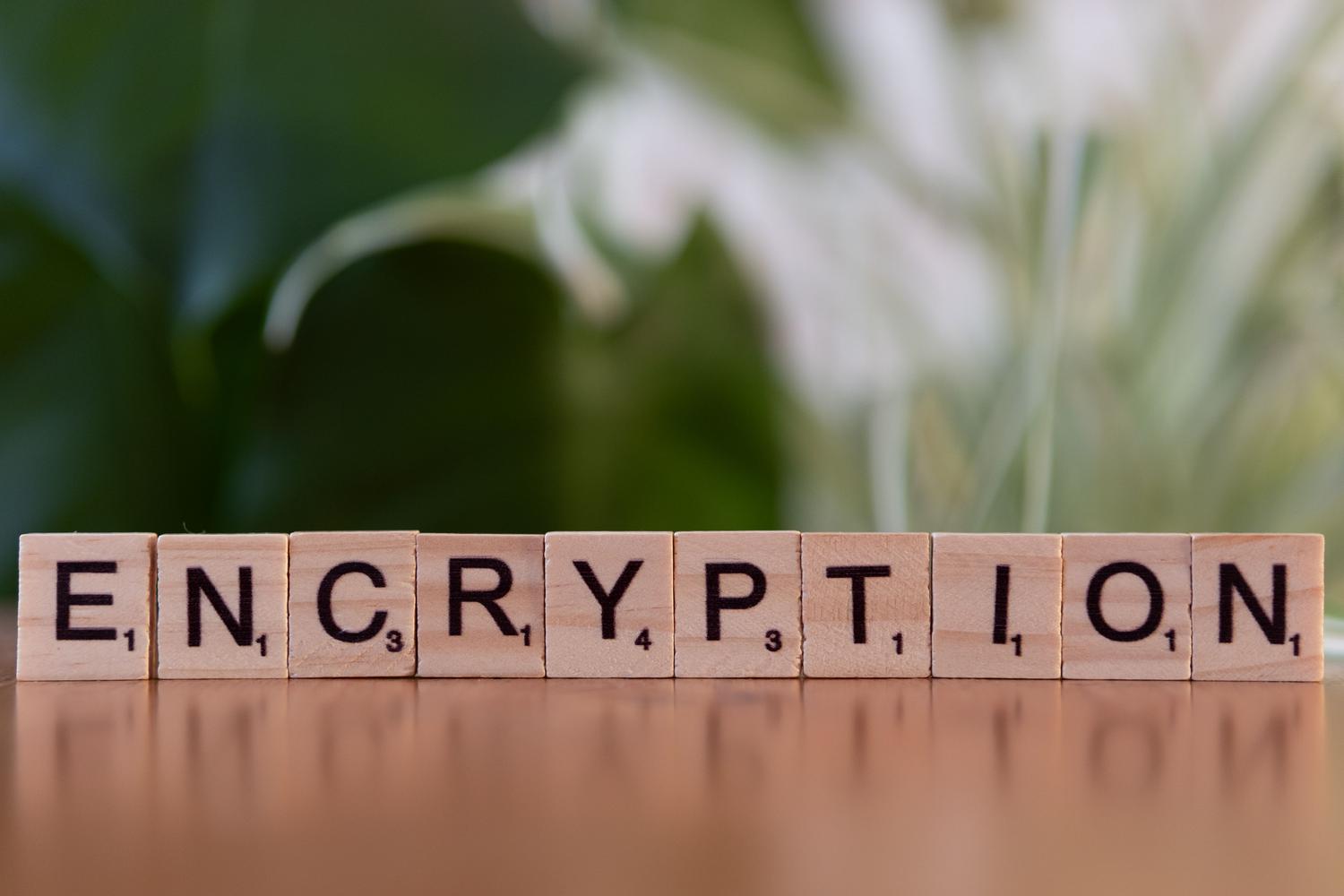 Bloques de madera formando la palabra encryption, simbolizando la privacidad y soberanía de los datos personales.