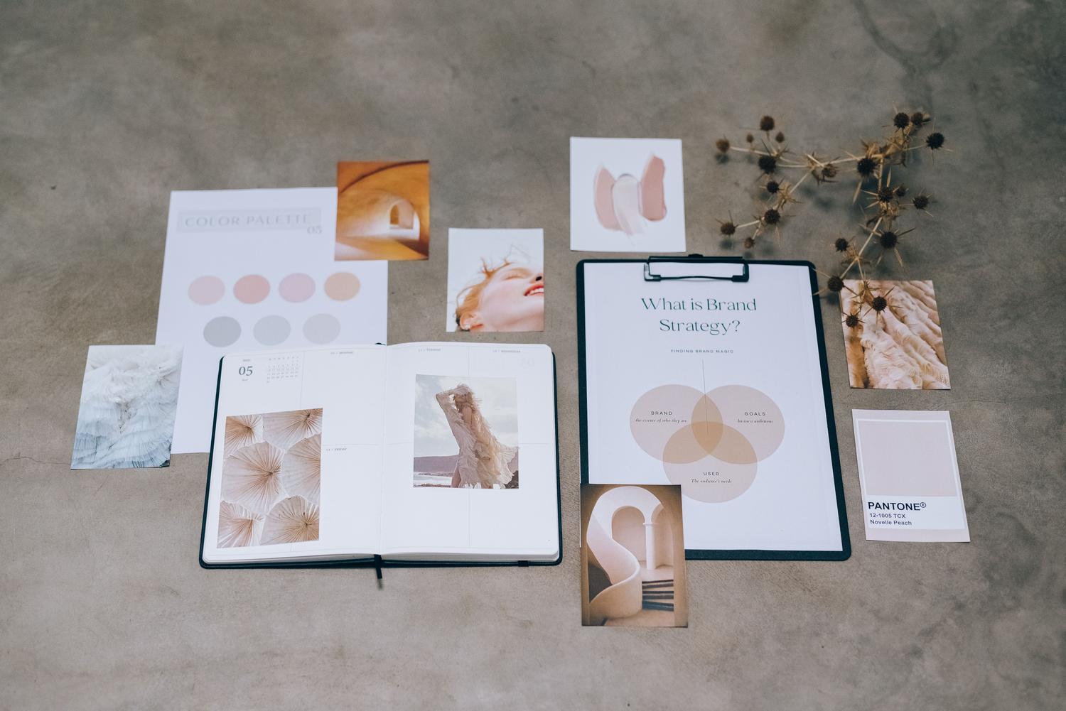 Moodboard de identidad de marca con paletas de colores y guías de estilo