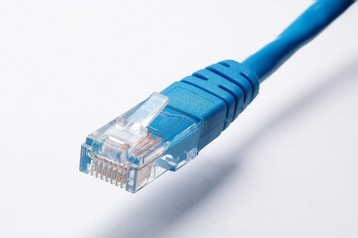 Close-up of a blue Ethernet cable connector on a white background to represent a stable connection