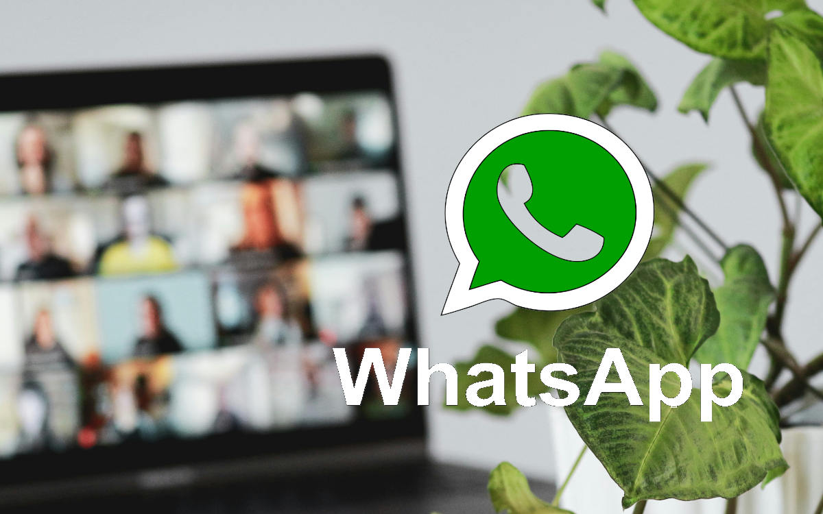 Cómo aprobar o expulsar invitados de una llamada de WhatsApp