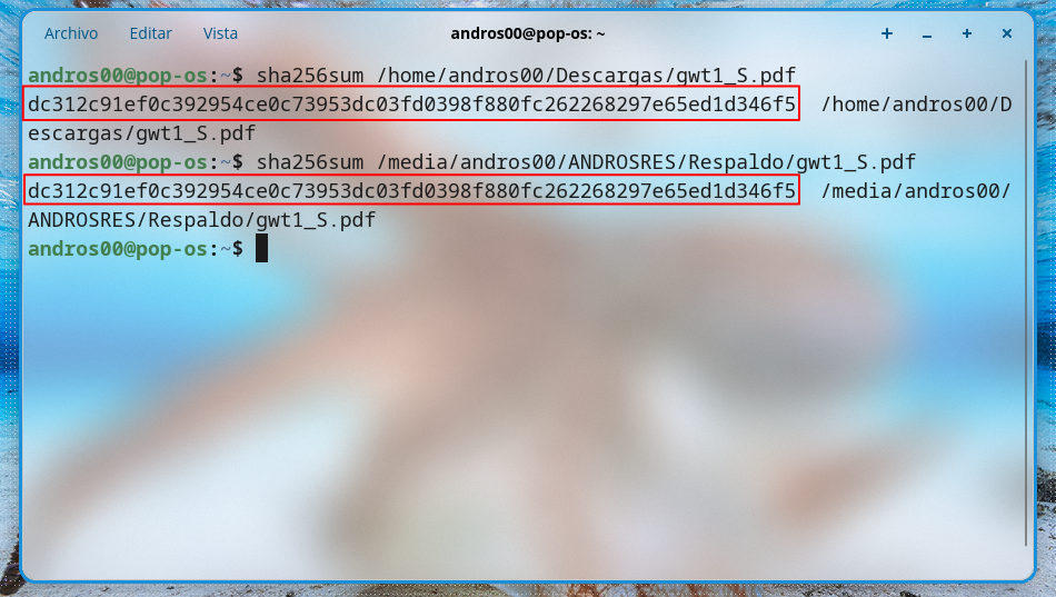 Como comprobar si un archivo copiado es exactamente idéntico al original
