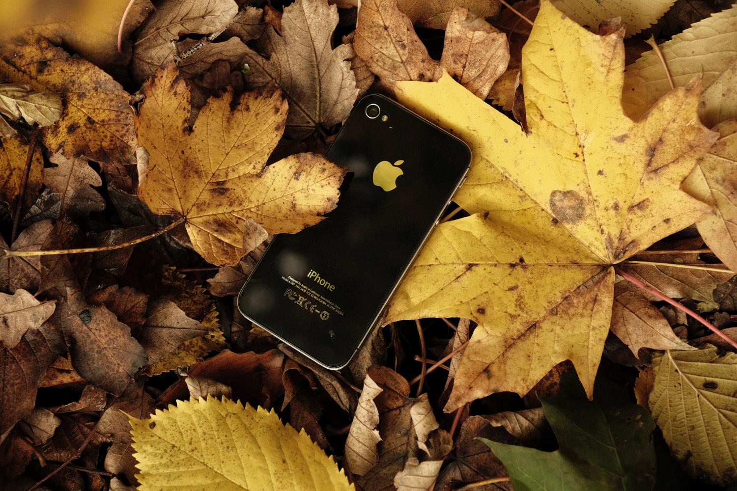 iPhone minimalista sobre un fondo de hojas secas otoñales, evocando una atmósfera melancólica y estética de octubre.