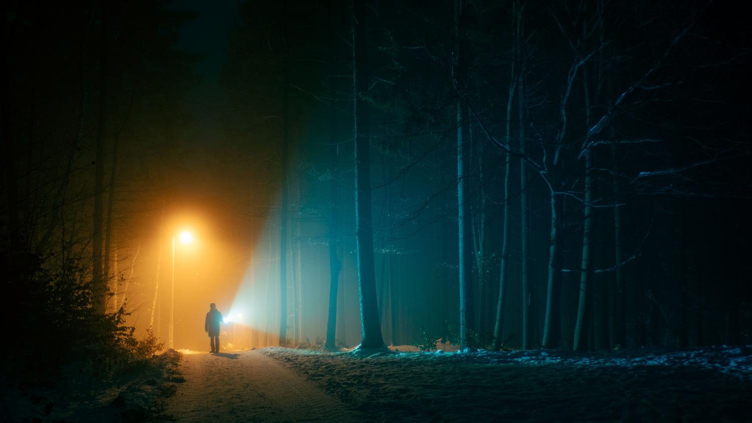 Persona caminando por un bosque brumoso de noche iluminada por una linterna, capturando la esencia del terror de supervivencia.
